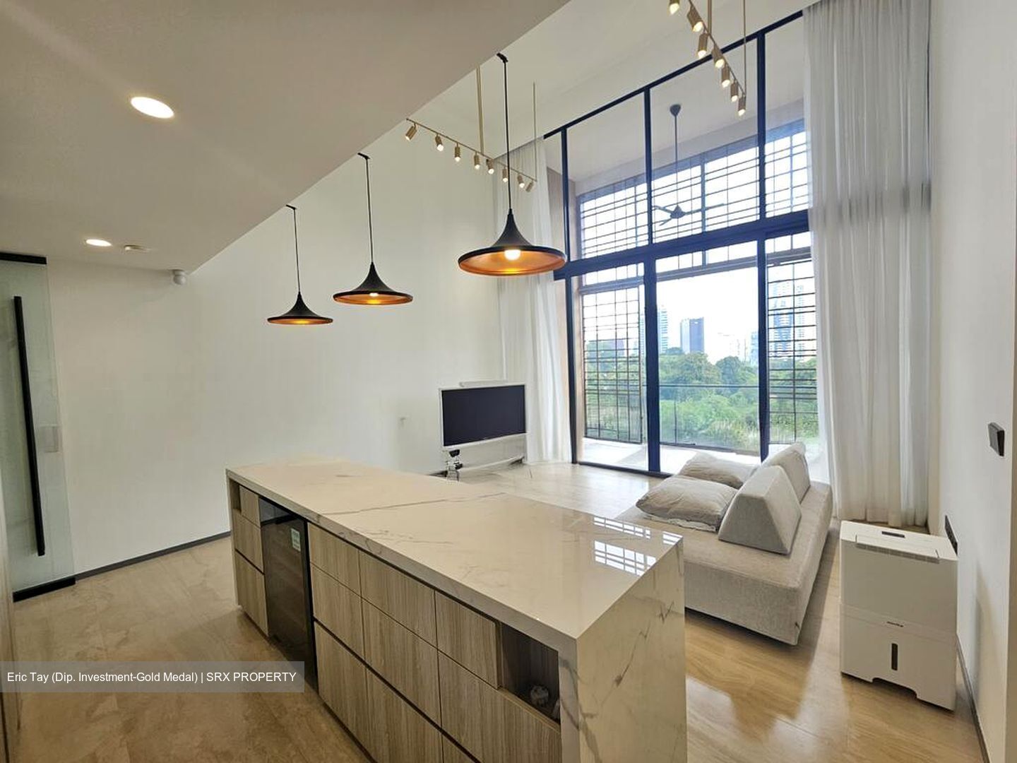 The Hyde (D10), Condominium #498565951